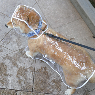 KimPets 小狗雨衣防水狗狗的泰迪中型小型犬博美宠物雨披柯基雨天衣服全包