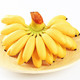 广西香蕉小米蕉 5斤