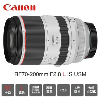 佳能（Canon） EOS R6 全画幅微单相机 机身/套机 4K视频拍摄 专业级 R6+70-200F2.8(礼包套装）