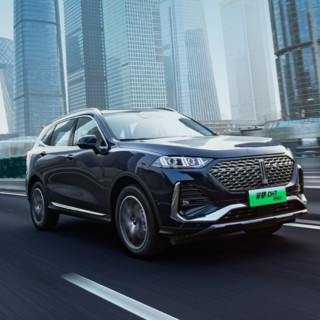 WEY 魏牌 拿铁DHT-PHEV 22款 1.5T 两驱 超大杯