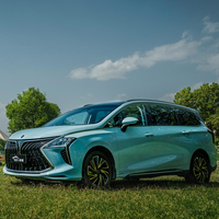 FORTHING 东风风行 游艇