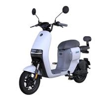 Ninebot 九号 A35 电动自行车 TDT058Z 48V13Ah锂电池 白色