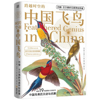 《跨越时空的中国飞鸟》