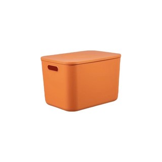 Vilscijon 维简 日式衣物塑料桌面收纳箱22L两个装零食整理储物箱衣柜收纳神器蓝色+橙色