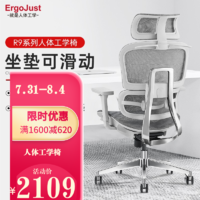 Ergojust 爱高佳 工学椅 R9灰色精抛光铝合金（自适应腰枕，椅背可升降）