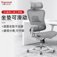 Ergojust 爱高佳 工学椅 R5灰色精抛光铝合金（腰背分离设计，椅背可升降）
