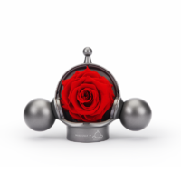 PLUS会员：ROSEONLY 诺誓 X SKULLPANDA联名爱·无畏限定系列 玫瑰永生花 向爱玫瑰