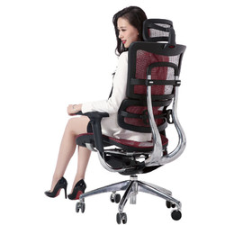 Ergojust 爱高佳 e5 办公电脑椅人体工学椅家用久坐网面