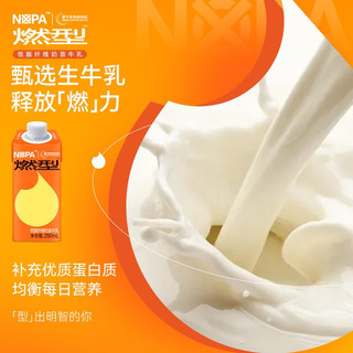 莫帕NOPA燃型低脂纤维奶昔蓝莓味牛乳250ml*10包 1提装（10包）