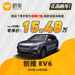 SKYWORTH 创维 汽车 EV6 2021款 520标准版