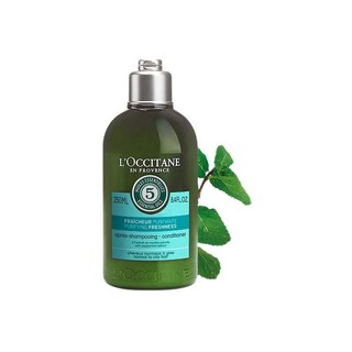 L'OCCITANE 欧舒丹 5合1草本菁纯纯净护发素 250ml