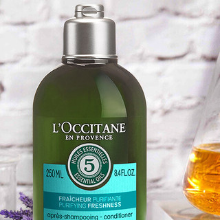 L'OCCITANE 欧舒丹 5合1草本菁纯纯净护发素 250ml