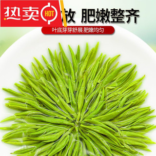 乐品乐茶 125g/罐 乐品碧螺春2022浓香型明前云雾茶毛尖绿茶组合装 1罐 125g