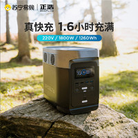 ECOFLOW 户外移动电源220v 电池1800w大功率 DELTA1300+160W太阳能板×2