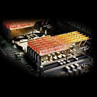 G.SKILL 芝奇 Trident Z Royal皇家戟系列 DDR4 3600MHz RGB 台式机内存 灯条 花耀银 32GB  16GBx2 F4-3600C19D-16GTRS