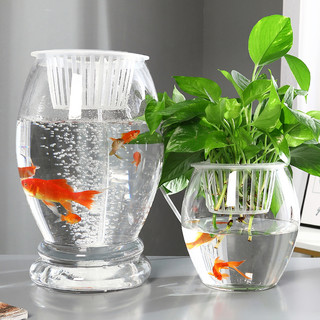 水培植物玻璃瓶透明玻璃花瓶器皿绿萝铜钱草室内客厅鱼缸容器大号