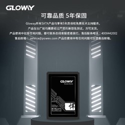 GW 光威 Gloway光威悍将系列高速版 960GB 固态硬盘台式机SSD SATA3.0接口