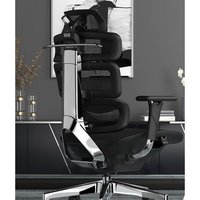 PLUS会员：Ergomax 迩高迈思 Evolution2 人体工学电脑椅 魅力黑 无畅躺架