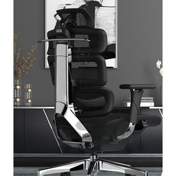 Ergomax 迩高迈思 Evolution2 人体工学电脑椅 魅力黑 无畅躺架