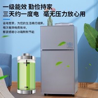 CHIGO 志高 BCD-35A118D 35升 双门冰箱