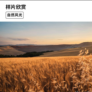 SIGMA 适马 24mm F1.4 DG DN ART 全画幅 大光圈广角定焦镜头 风光星空夜 索尼口标配(适用A7M3 A7M4 A7C等) 官方标配