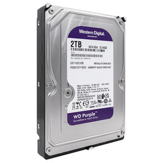 Western Digital 西部数据 紫盘系列 3.5英寸 监控级硬盘（CMR、5400rpm、256MB）