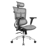 ERGOUP 有谱 ZY 人体工学椅 电脑椅家用 办公椅透气网布椅 电竞椅游戏椅 舒适可躺转椅 老板椅 黑框灰网