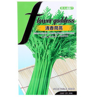 花儿朵朵 清香茼蒿种子 300粒