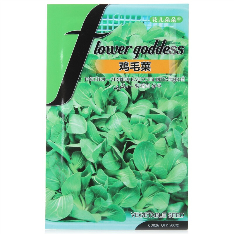 花儿朵朵 鸡毛菜种子 500粒