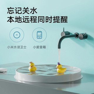 Xiaomi 小米 SJWS01LM 水浸卫士 白色【报价 价格 评测 怎么样】 -什么值得买
