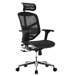 Ergonor 保友办公家具 金卓b 人体工学电脑椅 黑色 高配版