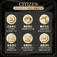 CITIZEN 西铁城 男表 光动能电波男士腕表JY8035-04E