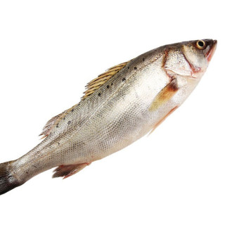 wecook seafood 味库海鲜 冰鲜舟山海鲈鱼 500-600g