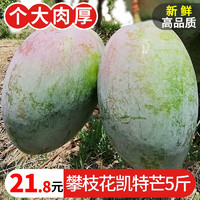 寻味君 攀枝花凯特芒果 大青皮芒 新鲜水果 凯特芒5斤大果