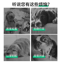 KimPets 狗狗玩具球 磨牙咬胶玩具三件套A