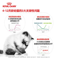 ROYAL CANIN/皇家 新品官方皇家进口猫湿粮主食罐幼猫慕斯奶糕罐头非零食营养全价粮 1-4月离乳期幼猫慕斯奶糕罐头195g*6罐