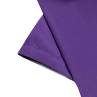 ROMON 罗蒙 男士短袖衬衫 S6C173101 紫色 43