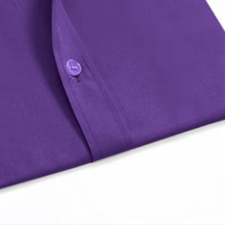 ROMON 罗蒙 男士短袖衬衫 S6C173101 紫色 40