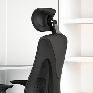 Gedeli 歌德利 轻办公系列 0A81 人体工学电脑椅 黑框黑网