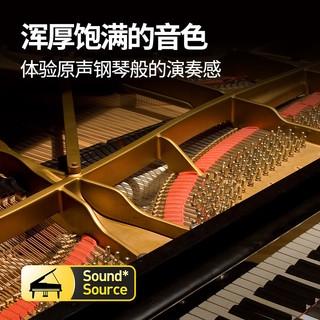 特伦斯便携式电钢琴88重锤键专业演奏成人儿童初学者入门家用考级