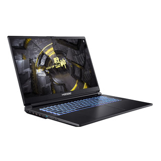 Hasee 神舟 战神 G10-DA9NT 17.3英寸游戏本（i9-12900H、16GB、1TB、RTX 3070Ti）