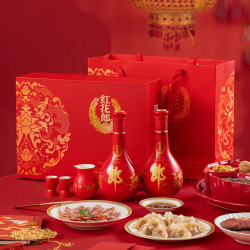 langjiu 郎酒 红花郎10双瓶礼盒53度500ml*2瓶酱香型白酒送礼