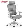 Ergojust 爱高佳 R5黑色灰色弓形椅电脑网椅人体工学椅 R5灰色进口网+衣架