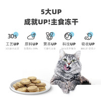 YOOIU 有鱼 UP系列生骨肉主食冻干全阶段猫粮 200g全价成猫幼猫猫零食