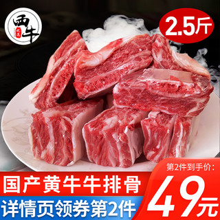 原切黄牛牛排骨1250g新鲜带肉整根牛肋排牛仔骨冷冻生鲜牛肉牛腩