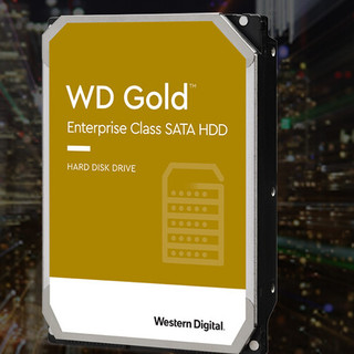 Western Digital 西部数据 金盘系列 3.5英寸 企业级硬盘 14TB（7200rpm、512MB）WD141VRYZ