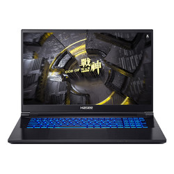 Hasee 神舟 战神G10-DA7NP 17.3英寸游戏本（酷睿i7-12700H、16GB、512GB、RTX 3070Ti 8G）