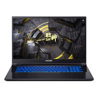 Hasee 神舟 战神G10-DA7NP 17.3英寸游戏本（i7-12700H、16GB、512GB SSD、RTX3070Ti）