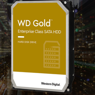Western Digital 西部数据 金盘系列 3.5英寸 企业级硬盘 12TB（7200rpm、256MB）WD121VRYZ