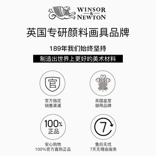 WINSOR＆NEWTON 温莎·牛顿 温莎牛顿油画颜料画家专用初学者儿童绘画单支管状油彩颜料套装12色24色36色白色金色钛白170ml/45ml